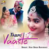 About Thare Vaaste Song