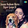 About Jaane Kahan Mera Jigar Gaya Ji Song