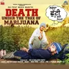 About Death Under The Tree Of Marijuana Song