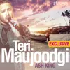 About Teri Maujoodgi Song