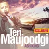 Teri Maujoodgi