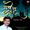 About Sakhe Tu Algat Ye Mazhya Swapna Song