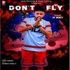 About Don't Fly Song
