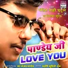 About Pandey Ji Love You Song