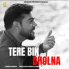 About Tere Bin Dholna Song