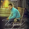 About Teri Yaad Song