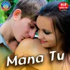 About Mana Tu Bhala Paauthilu Kahinki Song