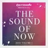 The Sound Of Now 2010, Vol. 1 Full Continuous Mix, Pt. 1