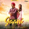 About Gaani Song