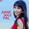 About Aane Wale Pal Song
