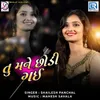 About Tu Mane Chhodi Gai Song