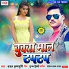 About Lap Lap Kare Tohar Patali Kamriya Song