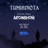 About Tumihinota Song