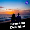 About Tomake Dekhini Song