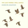 About Charm on, Goldfinch Song