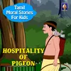 About Hospitality Of Pigeon Song