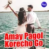 About Amay Pagol Korecho Go Song