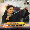 About Dil Nahi Lagda Song