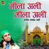 About Maula Ali Maula Ali Song