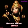 About Bhudhir Balam Shloka Song
