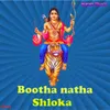 Bootha Natha Shloka