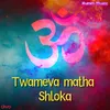 About Twameva Matha Shloka Song