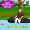 About Clever Fish Song