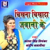 About Chikhana Chikhada Jawani Ke Song