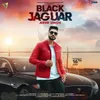 About Black Jaguar Song