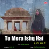 About Tu Mera Ishq Hai Zahir Ye Hone De Song