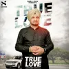 About True Love Song