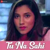 About Tu Na Sahi Song