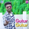 About Gutur Gutur Song