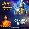 Om Namah Shivay