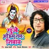 About Gunje Om Namah Shivaya Song