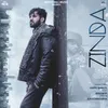 About Zinda Song