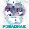 About Pogadhae Song
