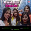 About Shaukh Mera Shock Hai Song