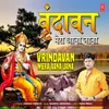 About Vrindavan Mera Aana Jana Song