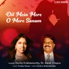 About Dil Mein Mere O Mere Sanam Song