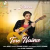 About Tere Naina Song