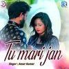 About Tu Mari Jaan Song