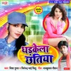 About Tohar Dekhiye Ke Dharkela Chhatiya Song