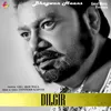 About Dilgir Song