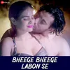 About Bheege Bheege Labon Se Song