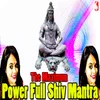 About Shiva Stotram Mantra Song