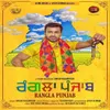 About Rangla Punjab Song