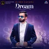 About Dream Song