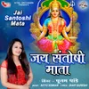 About Jai Santoshi Mata Song