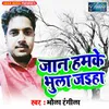 About Jaan Hamke Bhula Jaiha Song